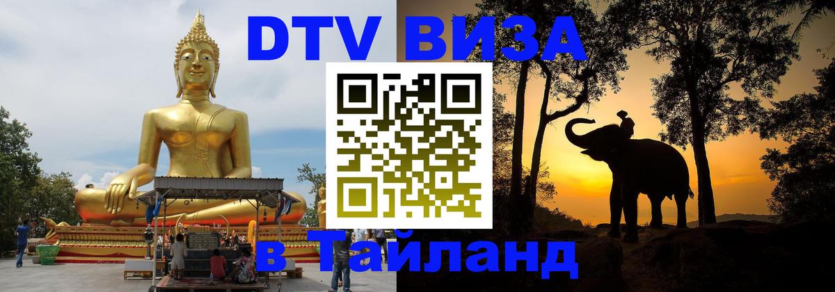Оформление DTV визы под ключ: стоимость и тарифы, только загранпаспорт - Кишинёв 